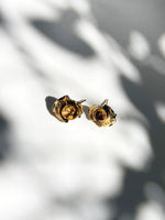 Reborn: The Miniature Coral Blooms