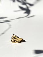 The Riverbed Ring Studio Metallurgy